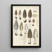 Morchella conica persoon - Hans Baldung — framed artwork on a wall