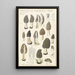 Morchella vulgaris - Hans Baldung — framed artwork on a wall