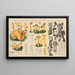 Otidea leporina Leotia gelatinosa Helvella lacunosa - Hans Baldung — framed artwork on a wall