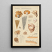 Panus stipticus - Hans Baldung — framed artwork on a wall