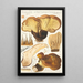 Paxillus atrotomentosus Batsch 2 - Hans Baldung — framed artwork on a wall