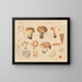 Paxillus involutus - Hans Baldung — framed artwork on a wall