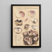 Peziza coronaria - Hans Baldung — framed artwork on a wall