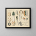 Phallus impudicus - Hans Baldung — framed artwork on a wall