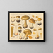 Elegant Phlegmatium Painting - Hans Baldung — framed artwork on a wall