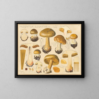 Elegant Phlegmatium Painting - Hans Baldung — framed artwork on a wall