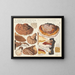 Placodes aplani Placodes ungulatus - Hans Baldung — framed artwork on a wall