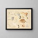 Pleurote corticatus - Hans Baldung — framed artwork on a wall
