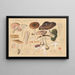 Pluteus cervinus Schaeff - Hans Baldung — framed artwork on a wall