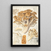 Polyporus ramosissimus Schff - Hans Baldung — framed artwork on a wall