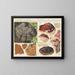 Polystictus fomentarius et Placodes ungulatus - Hans Baldung — framed artwork on a wall