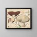 Psalliota augusta - Hans Baldung — framed artwork on a wall