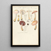 Psalliota comtula - Hans Baldung — framed artwork on a wall