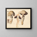 Psalliota elvensis - Hans Baldung — framed artwork on a wall