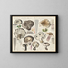 Russule aduste Russule albonigra - Hans Baldung — framed artwork on a wall