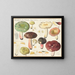 Russula alutacea painting - Hans Baldung — framed artwork on a wall