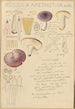Russula amethystina - Hans Baldung — artwork view