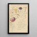 Russula amethystina - Hans Baldung — framed artwork on a wall