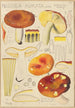 Russula aurata - Hans Baldung — artwork view