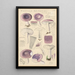 Russula azurea - Hans Baldung — framed artwork on a wall