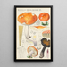 Russula decolorans Fr - Hans Baldung — framed artwork on a wall