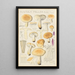 Russula fellea - Hans Baldung — framed artwork on a wall