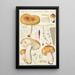 Russula foetens Pers - Hans Baldung — framed artwork on a wall