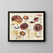 Russula romellii - Hans Baldung — framed artwork on a wall