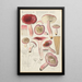 Russula rosacea - Hans Baldung — framed artwork on a wall