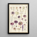 Russula serotina Russula myrtilla - Hans Baldung — framed artwork on a wall