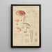 Russula vesca subsp Depallens singer - Hans Baldung — framed artwork on a wall