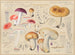 Russula foetens - Hans Baldung — artwork view