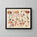 Telamonia macropus - Hans Baldung — framed artwork on a wall