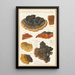 Trametes odorata Wulf Fries - Hans Baldung — framed artwork on a wall