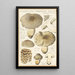 Tricholoma pardinum quelet - Hans Baldung — framed artwork on a wall