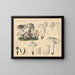 Tricholome saponacé var. squameux - Hans Baldung — framed artwork on a wall