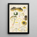 Tricholoma sejunctum Sow - Hans Baldung — framed artwork on a wall