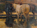 Horses in the pond - Hans von Hayek — artwork view