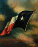Texas Flag Painting - Harco Schutter — artwork view