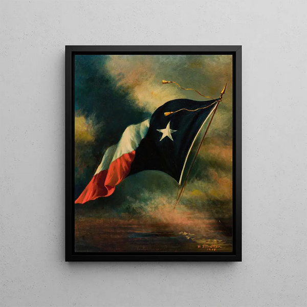 Texas Flag Painting - Harco Schutter — framed artwork on a wall
