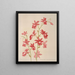 Calanthe Veitchii - Harriet Stewart Miner — framed artwork on a wall