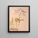 Cattleya Loddigesii - Harriet Stewart Miner — framed artwork on a wall