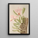 Cattleya Mossiae - Harriet Stewart Miner — framed artwork on a wall
