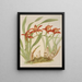 Cymbidium Hookerianum - Harriet Stewart Miner — framed artwork on a wall