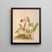 Laelia Dayeana - Harriet Stewart Miner — framed artwork on a wall