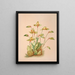 Lycaste Aromatica - Harriet Stewart Miner — framed artwork on a wall