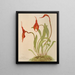 Masdevallia Veitchii - Harriet Stewart Miner — framed artwork on a wall