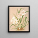 Odontoglossum Röezlii Album - Harriet Stewart Miner — framed artwork on a wall
