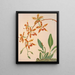 Odontoglossum Triumphant - Harriet Stewart Miner — framed artwork on a wall