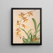 The Murder of Barker - Harriet Stewart Miner — framed artwork on a wall